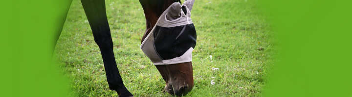 fliegenkopfschutz kategorieeinstiegsbanner
